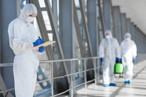 Environmental Consulting for Mold Prevention in Pittsfield, IL