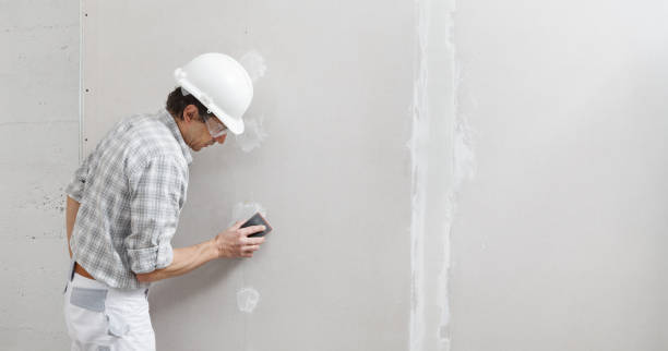 Best Crawl Space Mold Remediation  in Pittsfield, IL