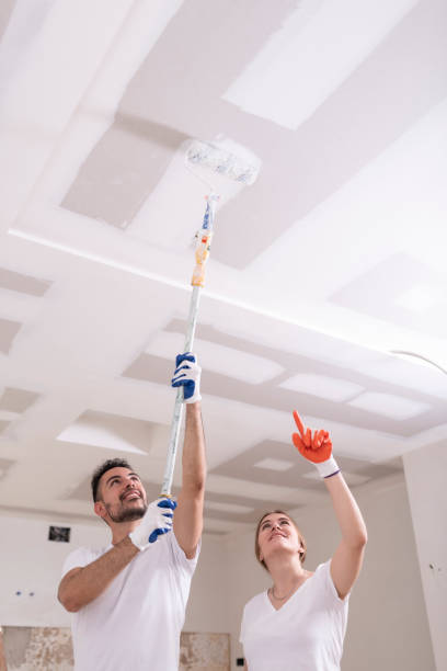 Best Air Quality Testing for Mold Spores  in Pittsfield, IL