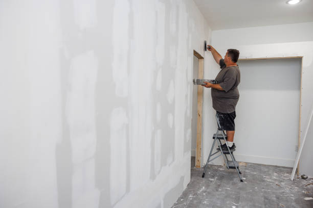 Best Black Mold Removal  in Pittsfield, IL